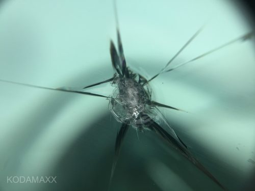 飛び石修理
